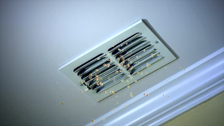 Best Air Duct Cleaning Company Near Me  in Coarsegold, CA