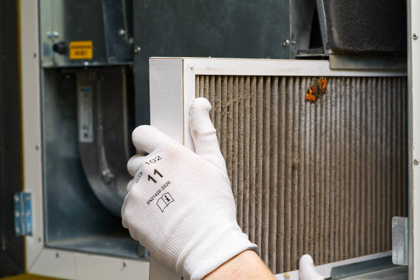 Best Professional Duct Cleaning Services  in Coarsegold, CA